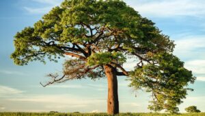 5 Strange Natural Places in the World You’ve Never Seen